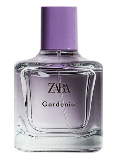 zara perfumes gardenia|zara gardenia perfume smells like.